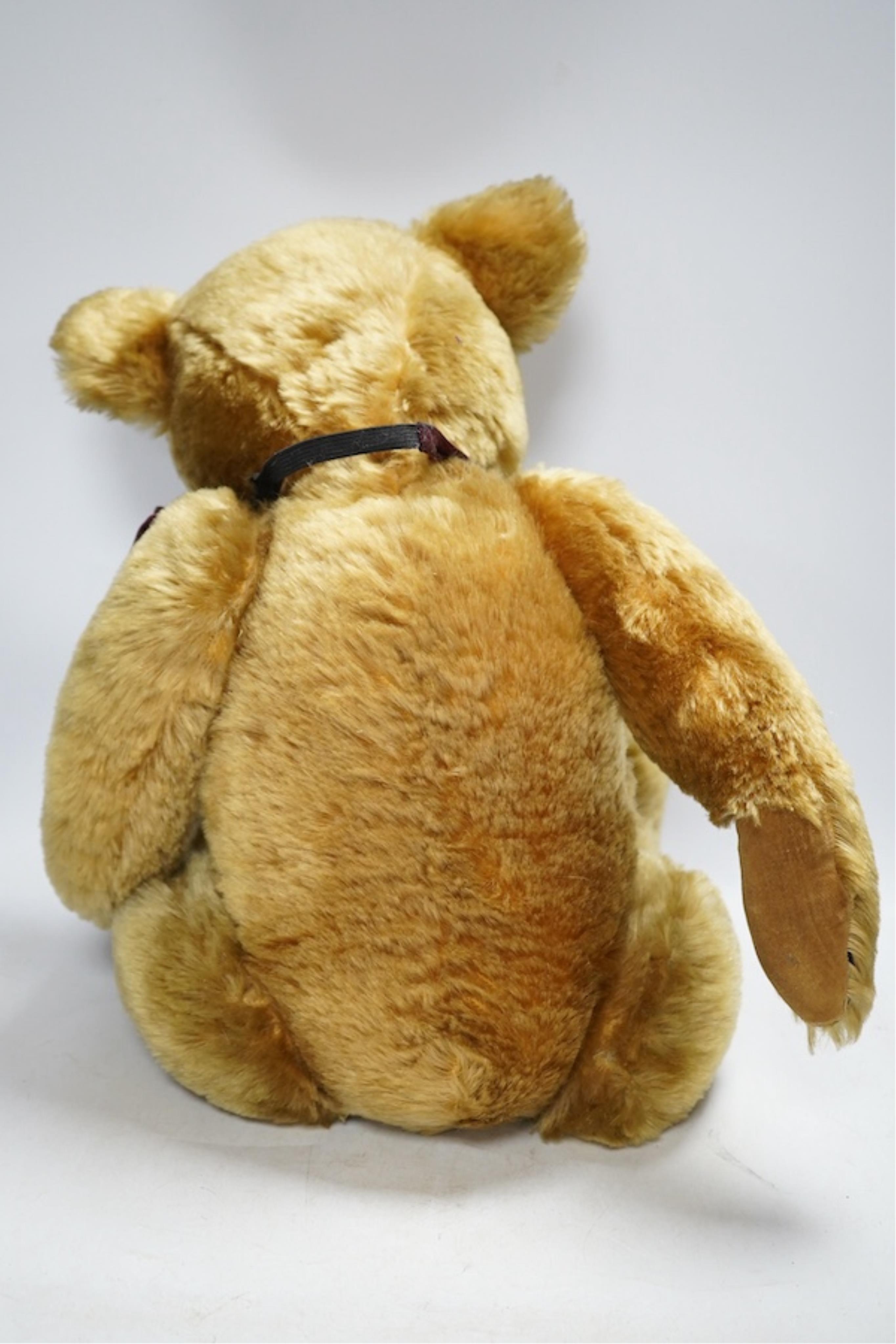 A Pedigree bear, c.1950, with velvet paw pads, 62cm high. Condition - good